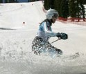 Skier in snow.